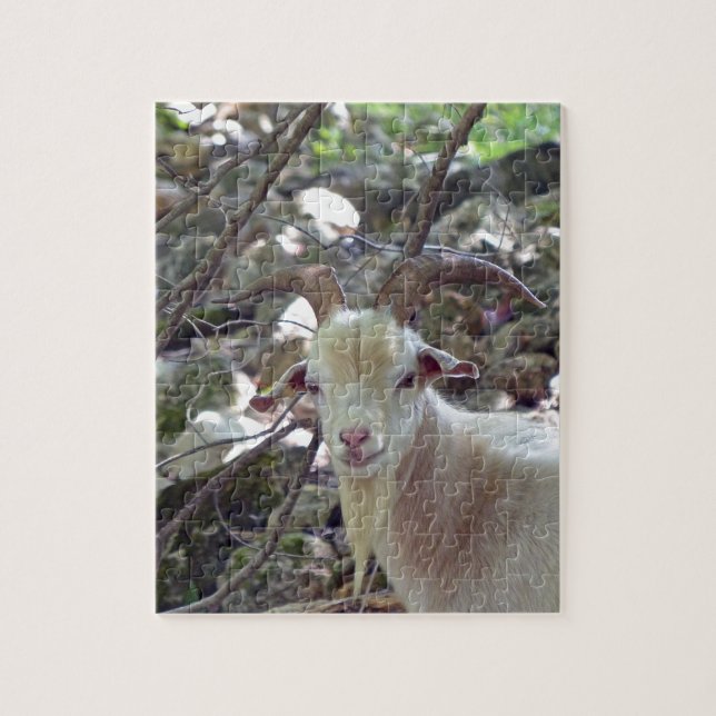 Puzzle Billy Goat (Vertical)