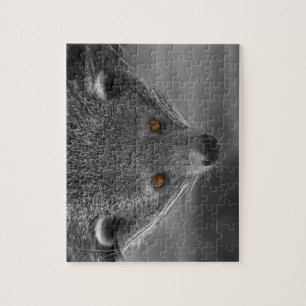 Puzzle Binturong Vous Regardant