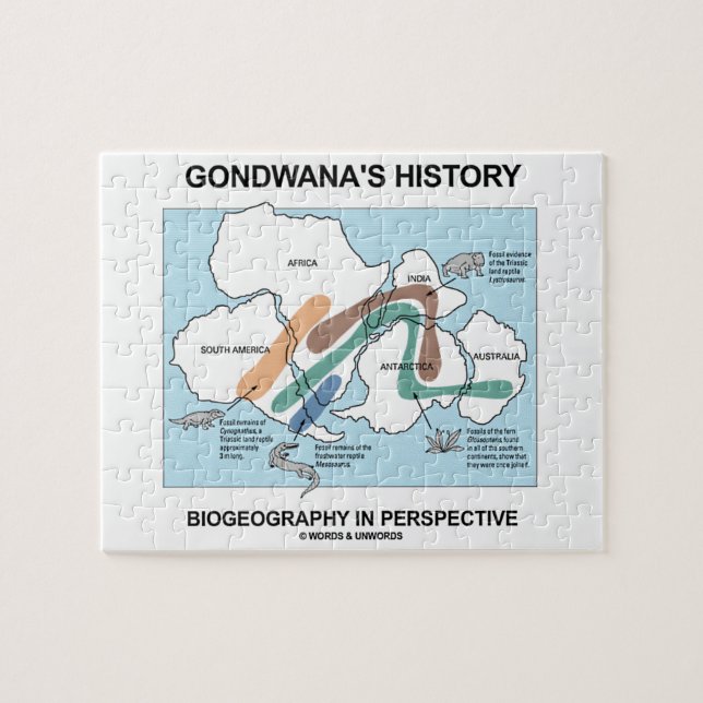 Puzzle Biogéographie de l'histoire de Gondwana dans la (Horizontal)