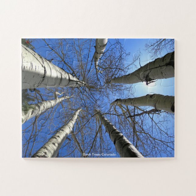Puzzle Birch Trees Colorado (Horizontal)