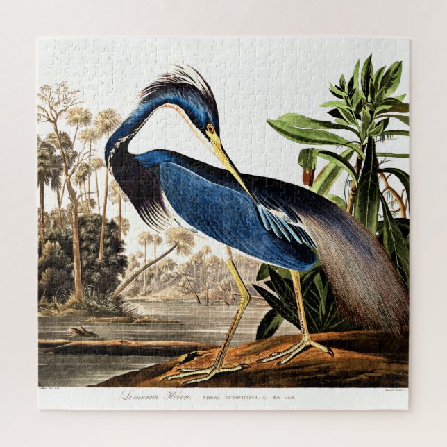 Puzzle Bird - Louisiana Heron by John James Audubon (Vertical)