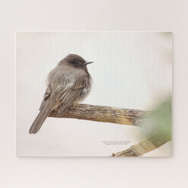 Puzzle Bird On Branch Young Junvenile Black Phoebe Jigsaw (Horizontal)
