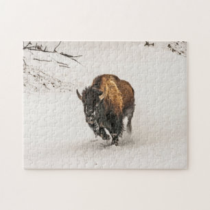 Puzzle Bison à travers la neige - 252 pièce
