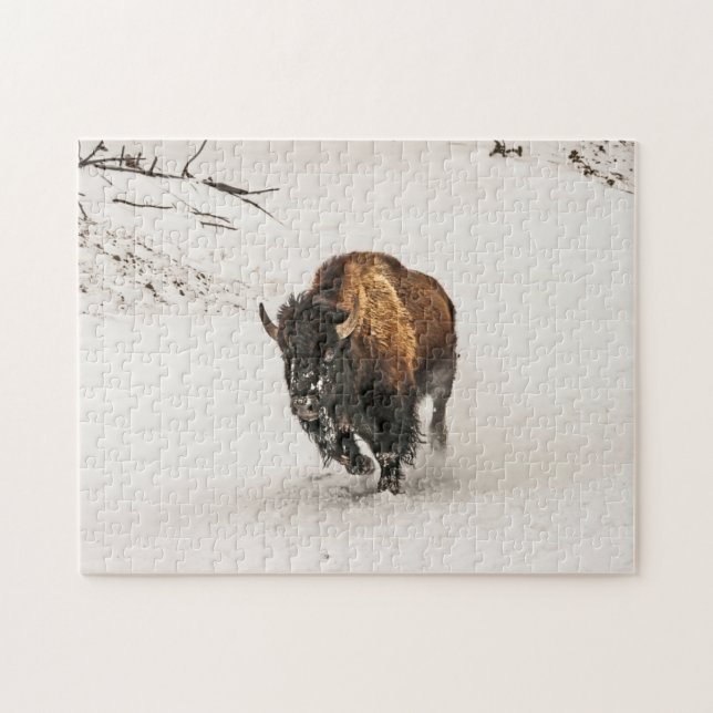 Puzzle Bison à travers la neige - 252 pièce (Horizontal)