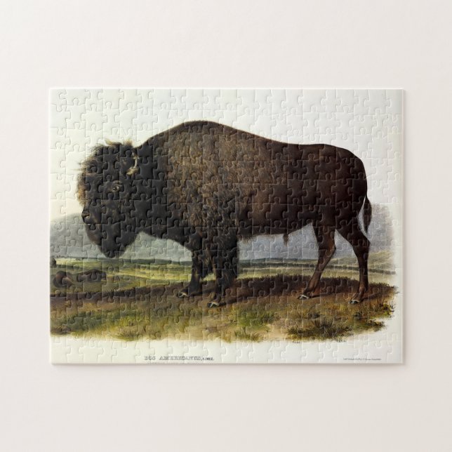 Puzzle Bison américain, ou bison (bison) - Audubon (Horizontal)