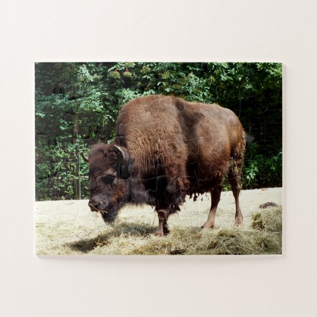 Puzzle Bison animal (Horizontal)
