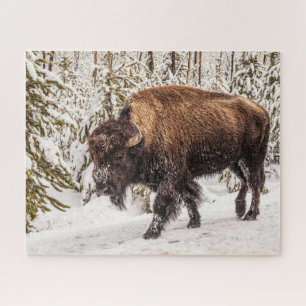 Puzzle Bison (bison) - Buffalo - Neige - 520 pièce