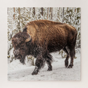 Puzzle Bison (bison) - Buffalo - Neige - 676 pièce