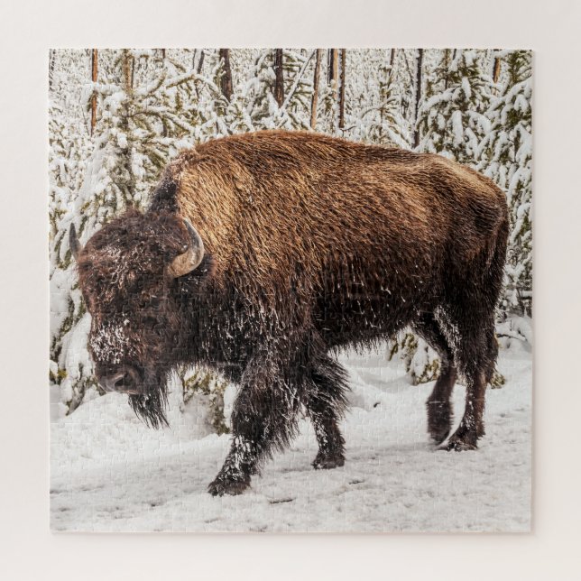 Puzzle Bison (bison) - Buffalo - Neige - 676 pièce (Vertical)
