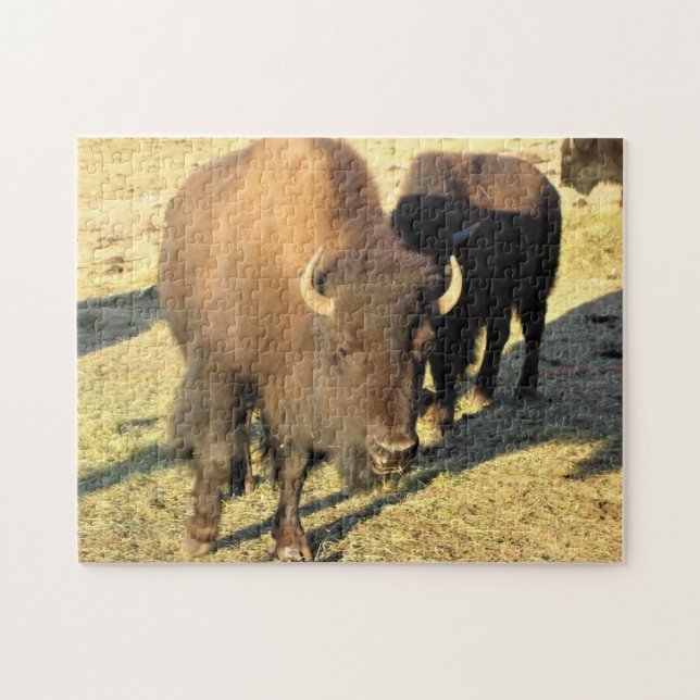 Puzzle Bison dans le Colorado (Horizontal)