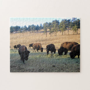 Puzzle Bison dans le Colorado