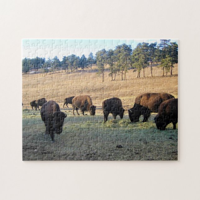 Puzzle Bison dans le Colorado (Horizontal)