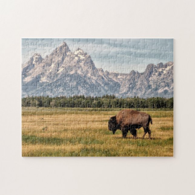 Puzzle Bison dans le Tetons (Horizontal)