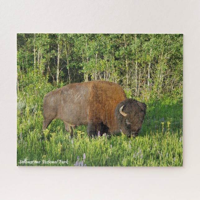 Puzzle Bison du parc national de Yellowstone (Horizontal)