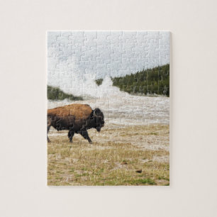 Puzzle Bison et vieux fidèle