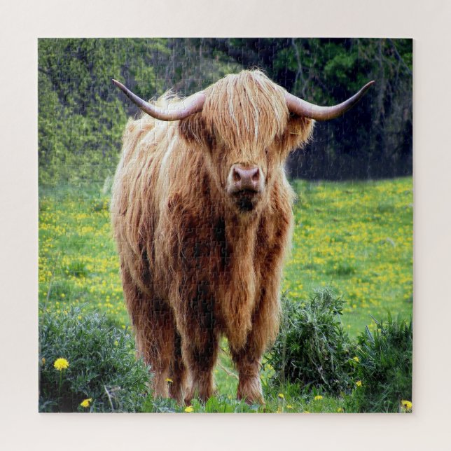 Puzzle Bison magnifique (Vertical)