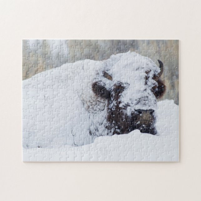 Puzzle Bison mâle, pelage d'hiver (Horizontal)