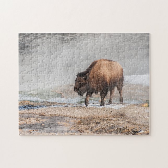 Puzzle Bison ou bison (Horizontal)