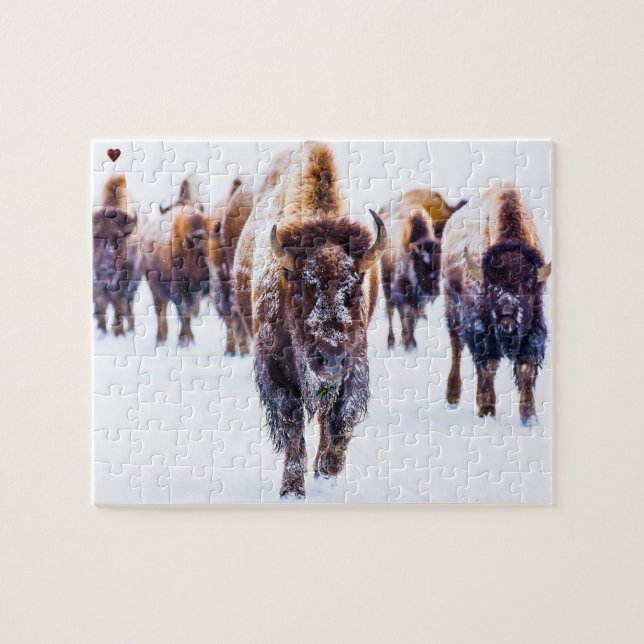 Puzzle Bison Yellowstone Wyoming (Horizontal)