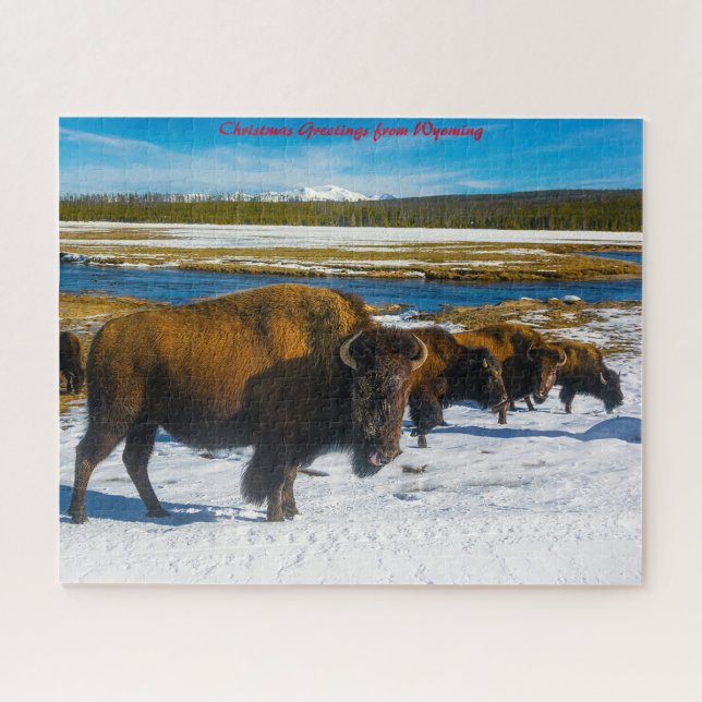 Puzzle Bison Yellowstone Wyoming. Vœux de Noël (Horizontal)