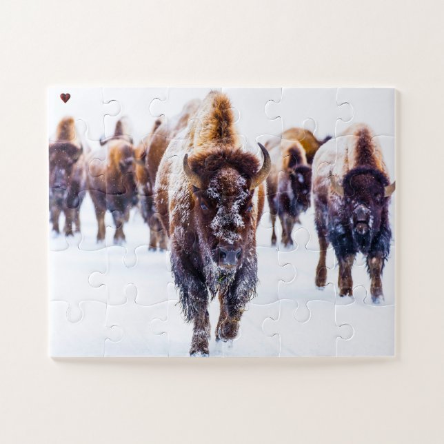 Puzzle Bisons Yellowstone Wyoming (Horizontal)