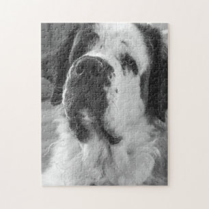Puzzle Black and white Saint Bernard dog