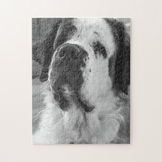 Puzzle Black and white Saint Bernard dog (Vertical)