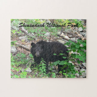 Puzzle Black Bear Shenandoah National Park Virginia