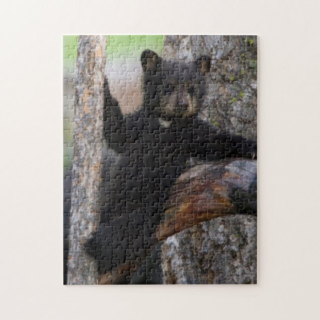 Puzzle Black Bears Cub Lounge (Vertical)