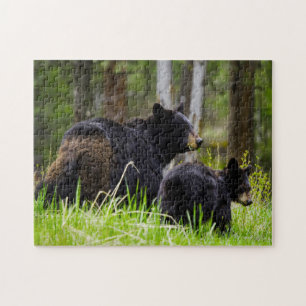 Puzzle Black Bears of America.