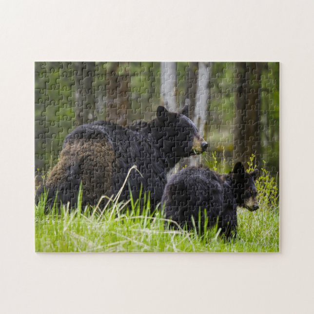 Puzzle Black Bears of America. (Horizontal)