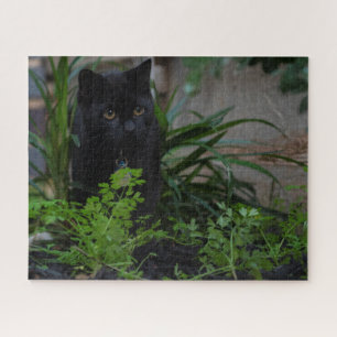Puzzle Black Cat Hidden in the Plants, 520 pieces