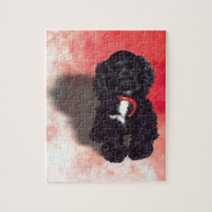 Puzzle Black Cocker Spaniel Puppy - Abby