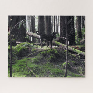 Puzzle Black Dog Lab Berger Forêt Bois Photo
