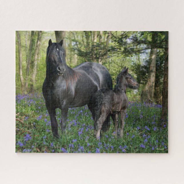 Puzzle Black Friesian Mare and Foal In Bluebells (Horizontal)