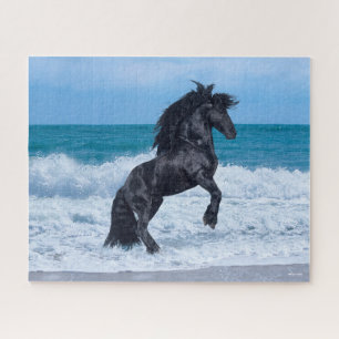 Puzzle Black Friesian Stallion
