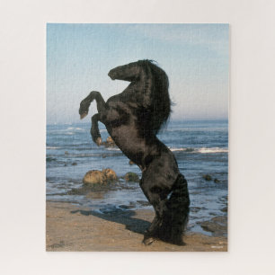 Puzzle Black Friesian Stallion Rearing On Beach