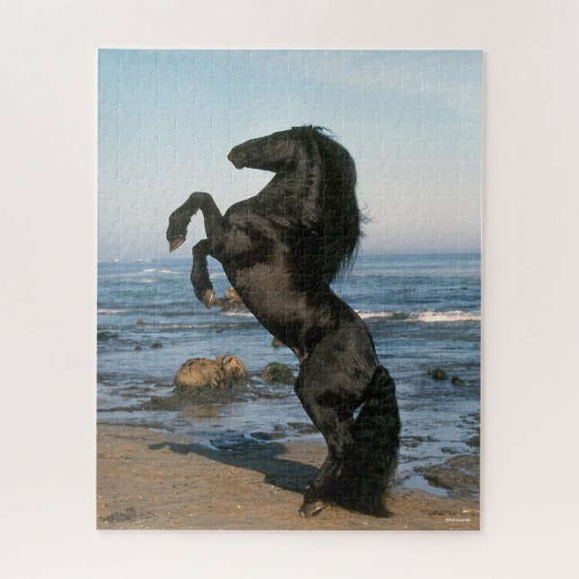 Puzzle Black Friesian Stallion Rearing On Beach (Vertical)