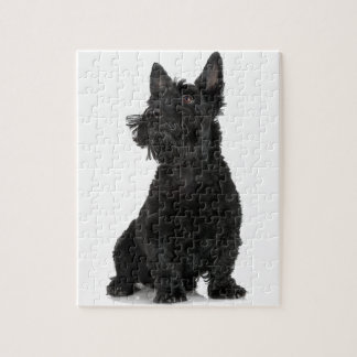 Puzzle Black Scottish Terrier
