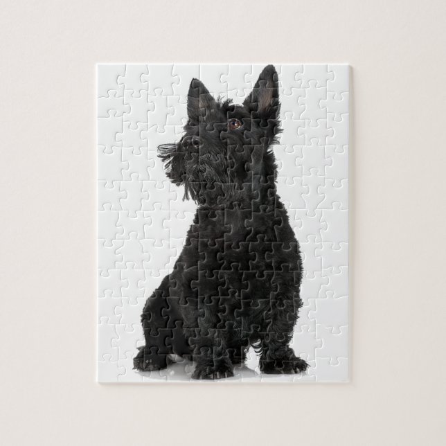 Puzzle Black Scottish Terrier (Vertical)