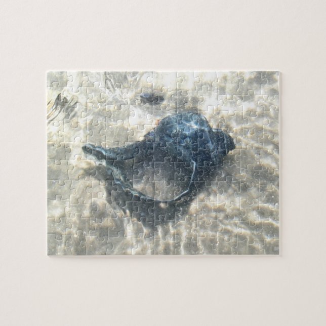 Puzzle Black Seashell (Horizontal)