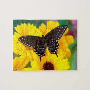 Puzzle Black Swallowtail