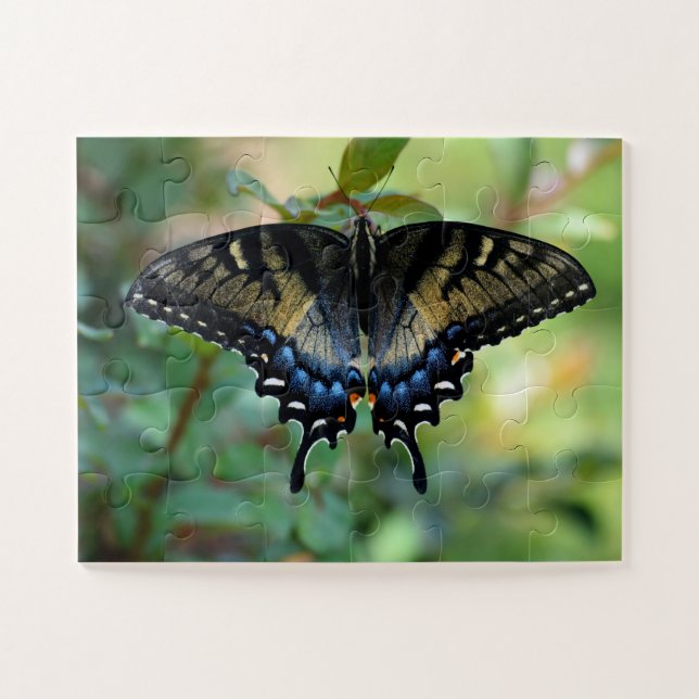 Puzzle Black Swallowtail (Horizontal)