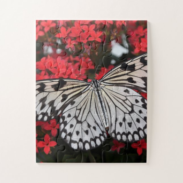 Puzzle Black & White Butterfly on Red Flowers (Vertical)