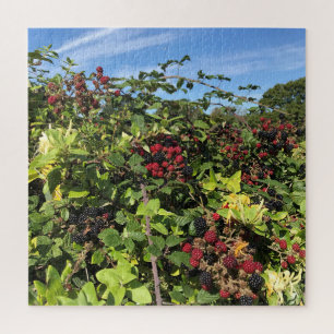 Puzzle Blackberries & Honeysuckie en anglais Campagne