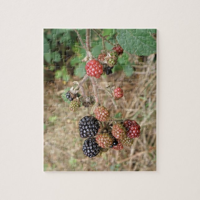 Puzzle Blackberry Bonanza (Vertical)