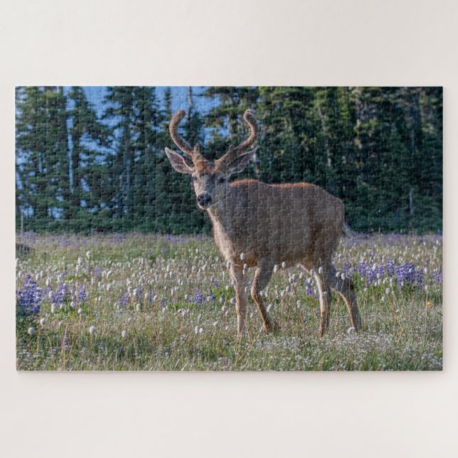 Puzzle Blacktail Deer Buck | Parc national olympique (Horizontal)