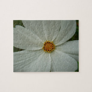 Puzzle Blanc Cosmos Fleur sauvage d'été Floral