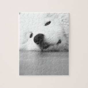 Puzzle Blanc de chien de photo de Samoyed