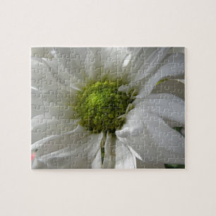Puzzle blanc de chrysanthème